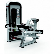 Nautilus IPTD3 Tricep Dip