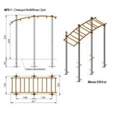 Станция Multifittness Gym MF5.1