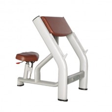 Скамья Скотта BRONZE GYM H-040A